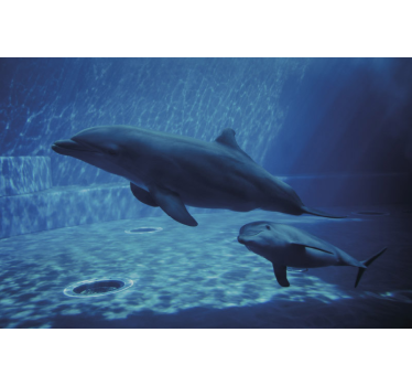 Dolphins swimming mural wallpaper - TenStickers