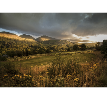 Irish countryside. nature murals - TenStickers