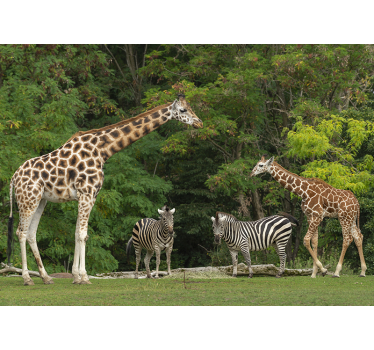 African animals wall mural - TenStickers