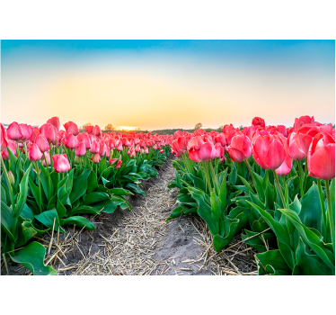 Spring flowers 3d mural wallpaper - TenStickers