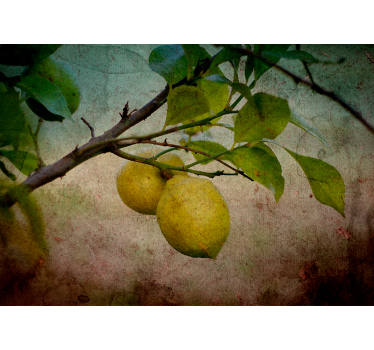 Wall mural nature lemon branch detail - TenStickers