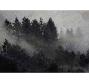 Foggy forest forest mural wallpaper - TenStickers