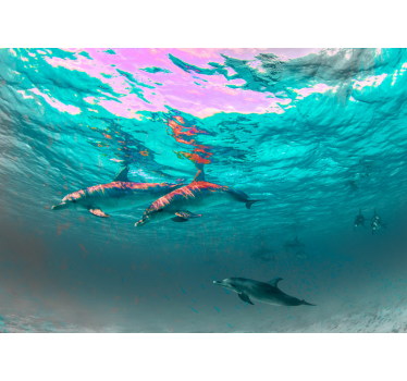 Dolphins swimming in the sea under the sea wall mural - TenStickers