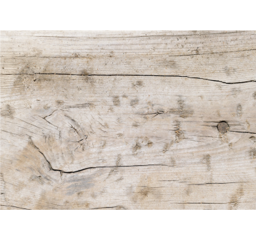 Wooden wall brown dandelion mural - TenStickers