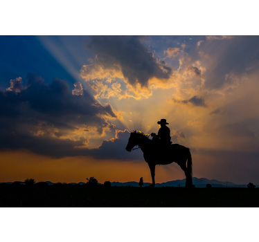 Animals wall mural rider on horse - TenStickers