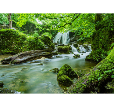 Wall mural nature lush waterfall tranquility - TenStickers