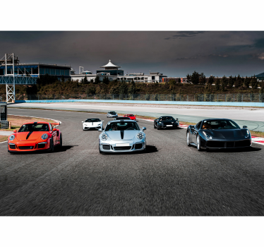 Racing on a track car mural - TenStickers