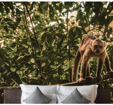 Amazonian monkeys photo mural - TenStickers