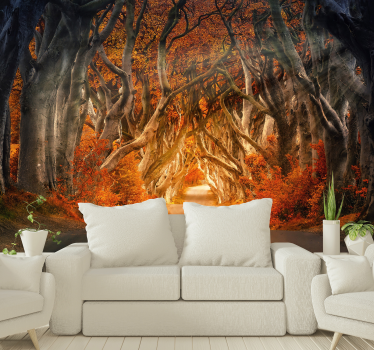 Autumn sunrise  Forest mural - TenStickers