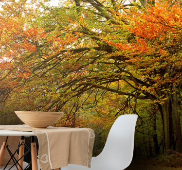 Beautiful forest green nature murals - TenStickers