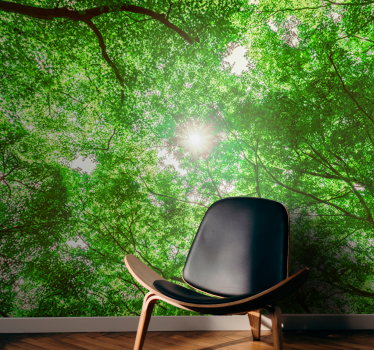 Beautiful green and sunny  forest mural wallpaper - TenStickers