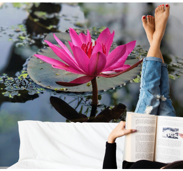 Beautiful lotus flower water mural wallpaper - TenStickers