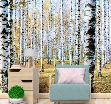 Birch tree wall mural - TenStickers