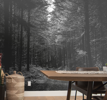 Black and white path forest mural wallpaper - TenStickers