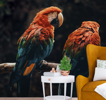 Colorful parrots mural wallpaper - TenStickers