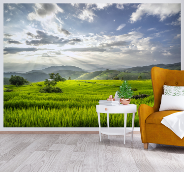 Dawn on the fields landscape photo mural - TenStickers