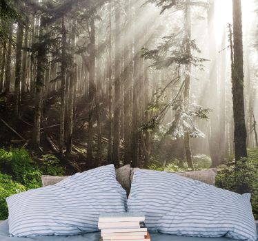 Deep green trees forest mural wallpaper - TenStickers