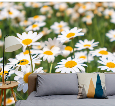 Flower wall mural daisies blooming brightly - TenStickers