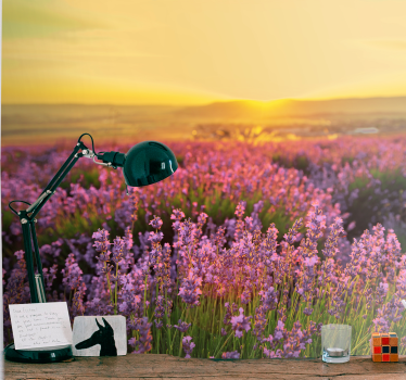 Flower wall mural lavender meadow dusk - TenStickers