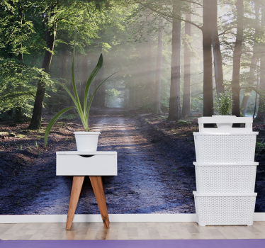 Forest landscape with flash forest mural wallpaper - TenStickers
