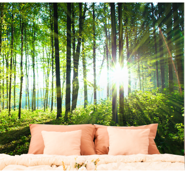 forest landscape with light reflection nature murals - TenStickers