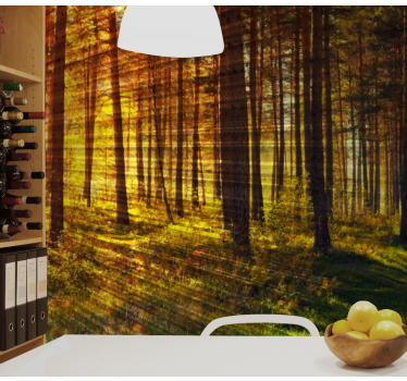 Forest Light Beams mural wallpaper - TenStickers