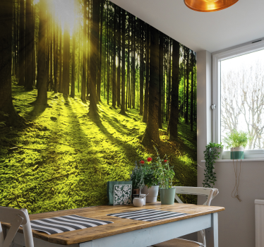 Forest tale Forest Wall Mural - TenStickers