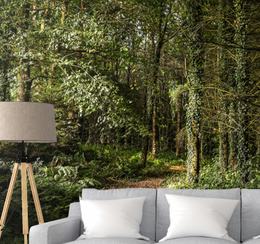 Forest wall mural lush forest pathway - TenStickers