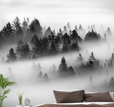 Forest wall mural misty evergreen woods - TenStickers
