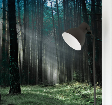Forest wall mural radiant forest pathway - TenStickers
