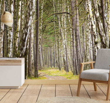 Forest wall mural serene woodland path - TenStickers