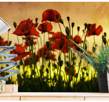 Golden hour Polish Poppy Wallpaper Photo - TenStickers