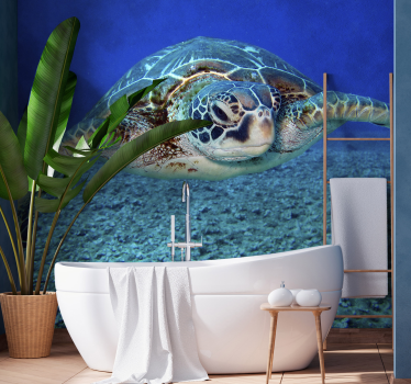 Hawksbill sea turtle wall mural - TenStickers