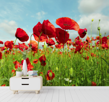 Huge poppy field Poppy Wallpaper Photo - TenStickers