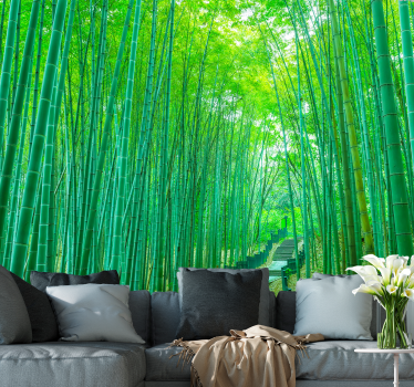 Light bamboo  path nature murals - TenStickers