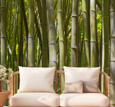 Natural bamboo forest tree wall mural - TenStickers