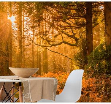 Old autumn tree with sun flash forest mural wallpaper - TenStickers