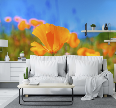 Orange poppies flower nature wall mural - TenStickers