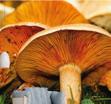 Orange pores wild mushroom nature murals - TenStickers
