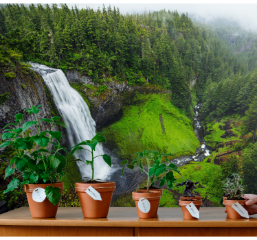 Peaceful waterfall in green forest nature murals - TenStickers