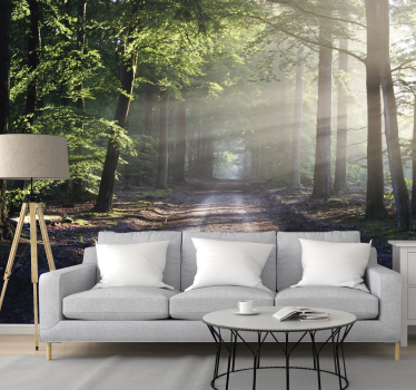Sun lit road in a forest tree wall mural - TenStickers