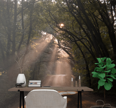 Wall mural nature radiant woodland path - TenStickers