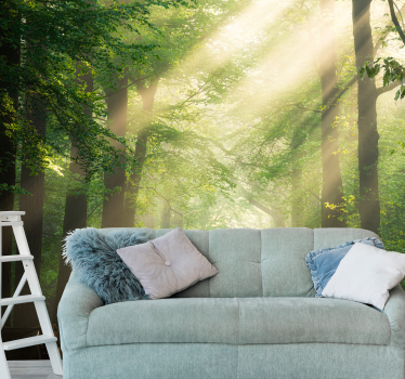 Wall mural nature sunlight through forest trees - TenStickers