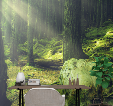 Wall mural nature sunlight through trees - TenStickers