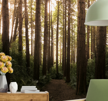 Wall mural nature tall forest trees - TenStickers