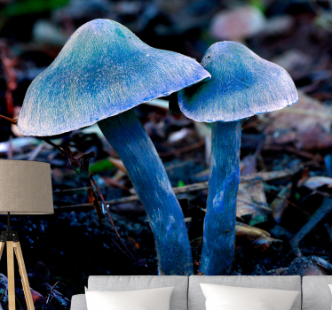 Wall mural nature unique mushroom shapes - TenStickers
