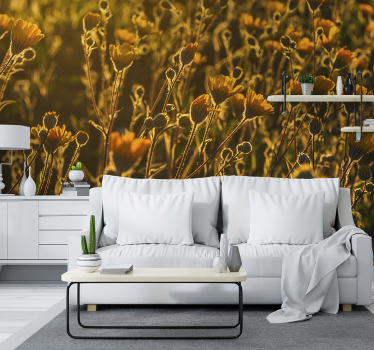 Warm poppy flower landscape photo mural - TenStickers
