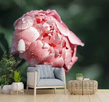 Wet Peoni flower mural wallpaper - TenStickers