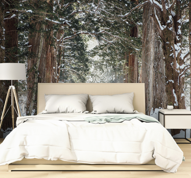 Winter forest trees mural - TenStickers
