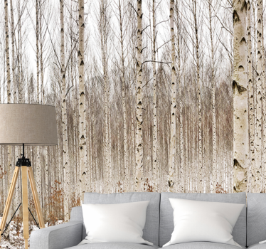 Young Birch Trees tree wall mural - TenStickers